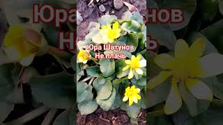 Юра Шатунов/Не Плачь/27.02.24Г.❤️🌹🌺🌼☘️🌈🎵