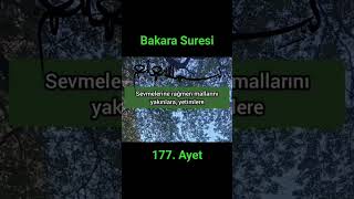 Bakara Suresi 177. Ayet Meali