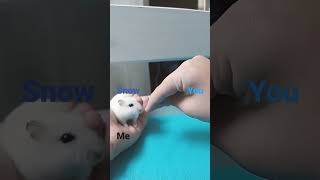 You Tike My Hamster Meme Gift For