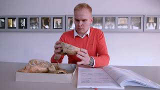 Masaryk University Di Brno - Facoltà Di Medicina, Odontoiatria E Fisioterapia