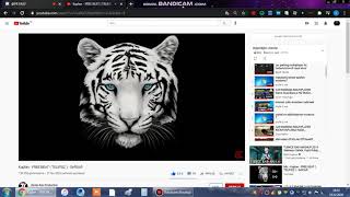 Enes Avci Youtube Di̇ss Offi̇call Vi̇deo