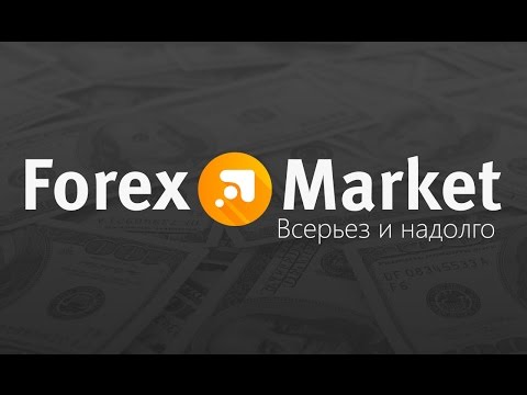 Forex s.r.l