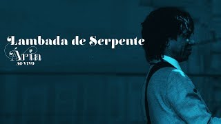 Watch Djavan Lambada De Serpente Ao Vivo video