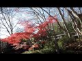 市立公園楽寿園[深まる秋の紅葉 日本庭園].wmv