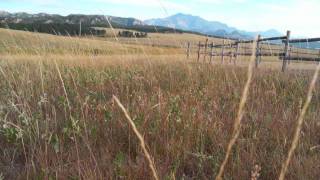Watch Brenn Hill Wyoming Wind video