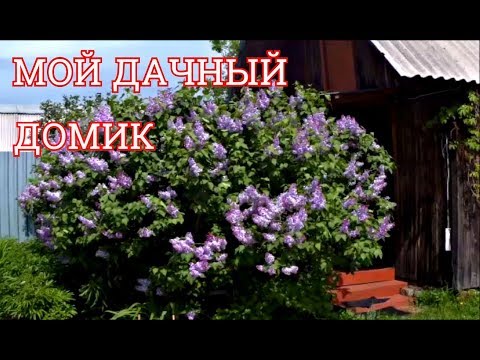 МОЕМУ ДАЧНОМУ ДОМИКУ ПОЧТИ ПОЛВЕКА! МОЕМУ ДАЧНОМУ ДОМИКУ ПОЧТИ ПОЛВЕКА!