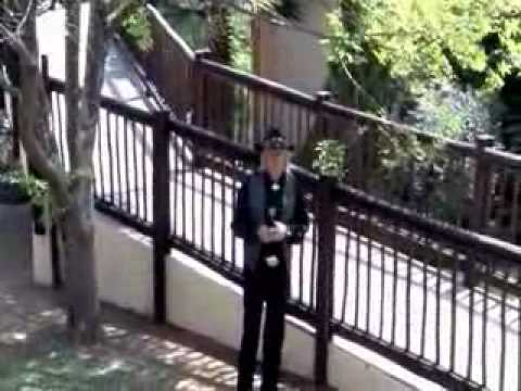 Bobby Angel - Rainbows & Roses.flv
