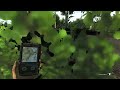Angezockt : The Hunter #2 - Fail über Fail über Fail