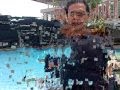 teknik renang gaya dada by beri.wmv