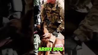 Army Trained Dog