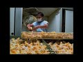 مستند زمینیان - با زیرنویس فارسی - 5