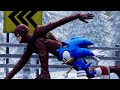 Sonic vs The Flash -  EPIC RACE!