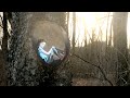 JS 動画6b