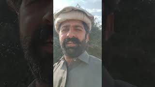 Pakstni Nizam