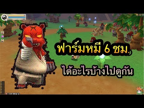 Seal Online ฟาร์มหมีกังฟูแบบไม่กดคูณ 6 ชม. จะได้กี่เวล และได้อะไรบ้างไปดูกัน