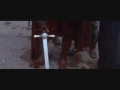 скачать фильм кровавая волна скачать фильм кровавая волна
