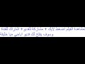 نيك فى الطيز