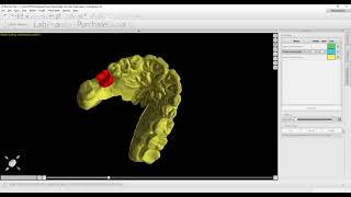 Close Model, Add Tooth, Export Together at No Cost
