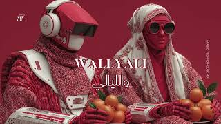 Wallyali والليالي Arabic Deep Techno House Mix Snx