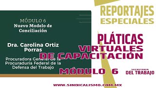 Módulo 6 "Nuevo Modelo de Conciliación" Imparte: Carolina Ortíz Porras "PROFEDET"