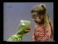 Kermit The Frog : Not Professional