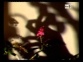 Ombre Cinesi (Raul Ruiz - 1982 Sub. Ita)