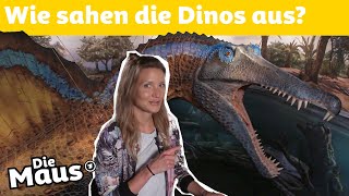 So wird ein Dinosauriermodell gebaut | DieMaus | WDR