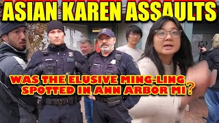 Asian Karen Aults Public Photographers Did We Find Ming-Ling In Michigan? 1A Street Audit