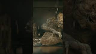 Rancor Easter Egg Star Wars Jedi Survivor