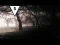 Top 15 TRUE Scary Stories (#3) Part 2