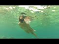 Amy swimming with fishies
