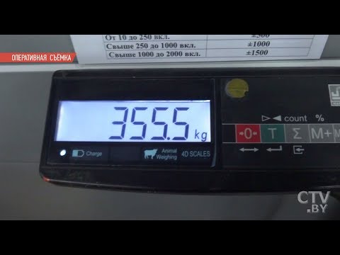 355,5 кг гашиша | На границе с Литвой задержали крупнейшую партию наркотиков на 9 млн. долларов 355,5 кг гашиша | На границе с Литвой задержали крупнейшую партию наркотиков на 9 млн. долларов