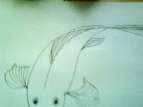 pen drawing of koi carp fish