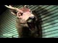 Maraton Evil Dead - Część 2 - Martwe Zło II