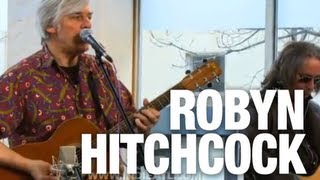 Watch Robyn Hitchcock What You Is video