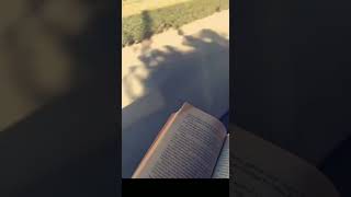 Kitap Ve Yol Story