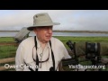 Play VisitSarasota.org: Birding at Myakka River State Park