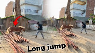 Cie Long Jumps Expert Nikli Waoo