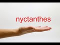 How to Pronounce nyctanthes - American English