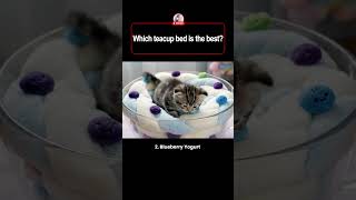 Which Teacup Bed Is The Best? Relaxing Ai Visuals