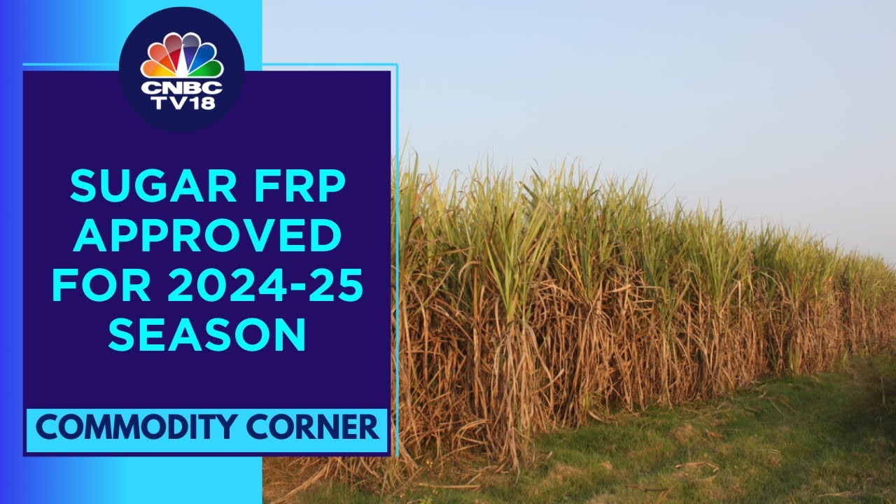 Cabinet Approves Sugar FRP For 2024-25 Season; Hikes FRP Cabinet Approves Sugar FRP For 2024-25 Season; Hikes FRP
