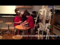 Anthropology 101