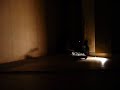 dj olive's whitney biennial installation, guitar room