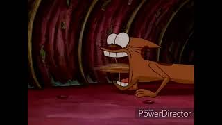 Catdog Mindfk Moment