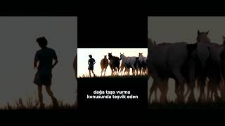 Yolculuk Filmleri İzlemeyi Neden Severiz?