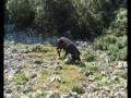 ESCURSIONE CANYON GORROPPU E CALA GOLORITZE'