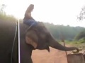 Kat Parsons' SouthEast Asia Video Postcard #1 Elephant Camp
