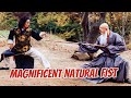 Wu Tang Collection - Magnificent Natural Fist