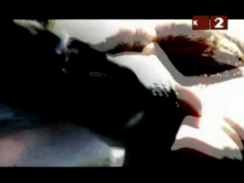 Chevelle - I Get it