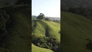 Peaceful Music With Piano, Guitar & Birds To Start Your Day